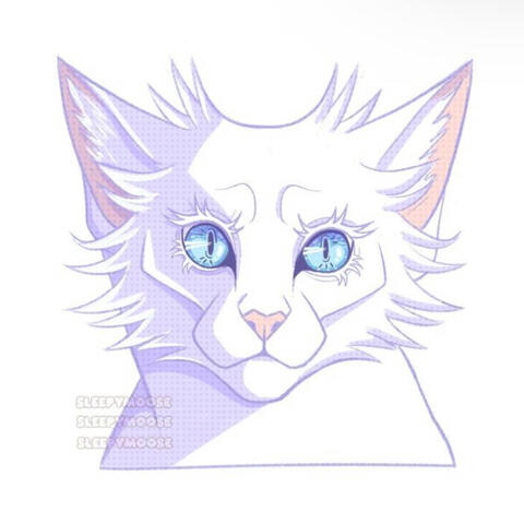 Animal example